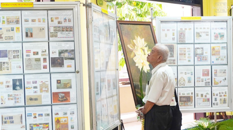 Chú Trần Văn Bùi chăm chú thưởng lãm các bộ sưu tập tem Chú Trần Văn Bùi chăm chú thưởng lãm các bộ sưu tập tem