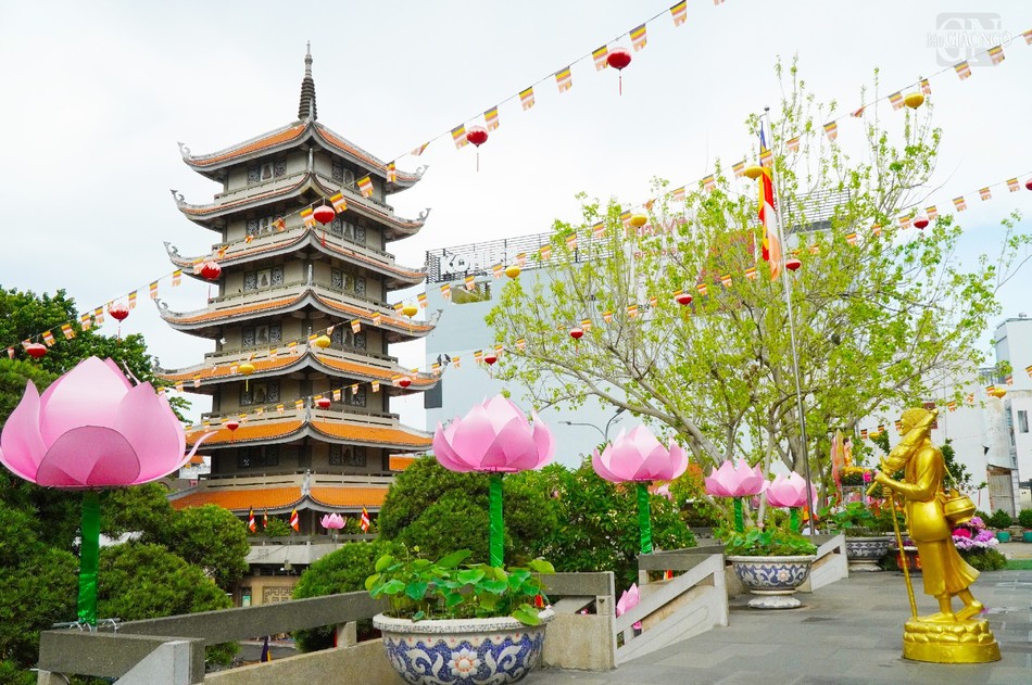 Hoa sen được thiết trí trước chánh điện chùa Vĩnh Nghiêm