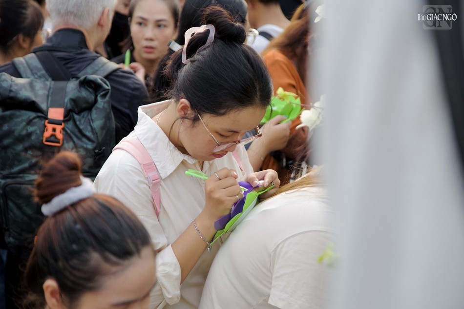 Cầu sức khỏe, bình an