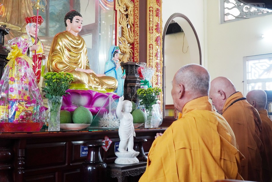 Chư tôn đức thành kính đảnh lễ Tam bảo