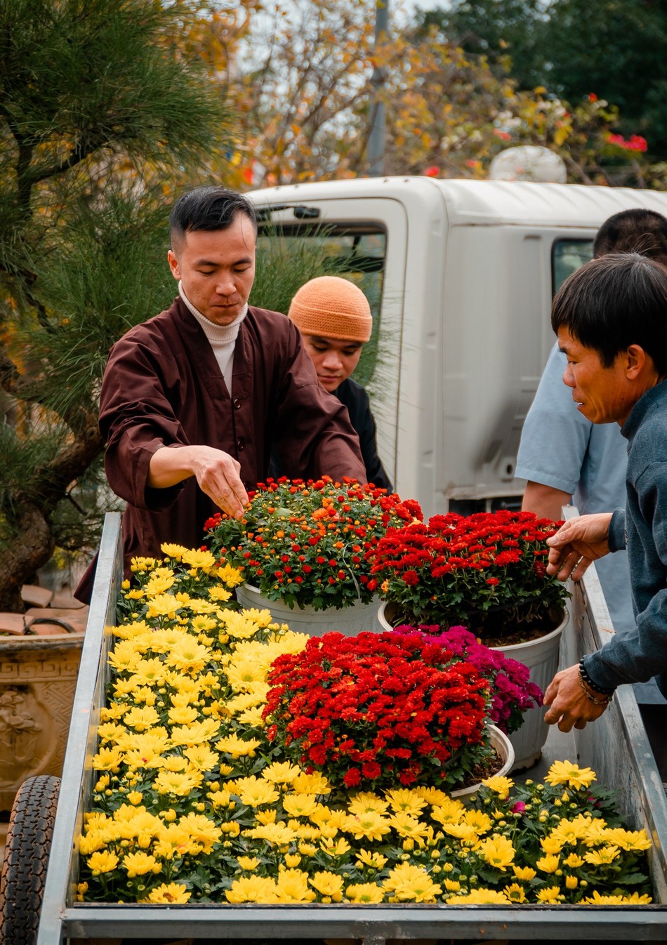 Hoa khoe sắc thắm Hoa khoe sắc thắm