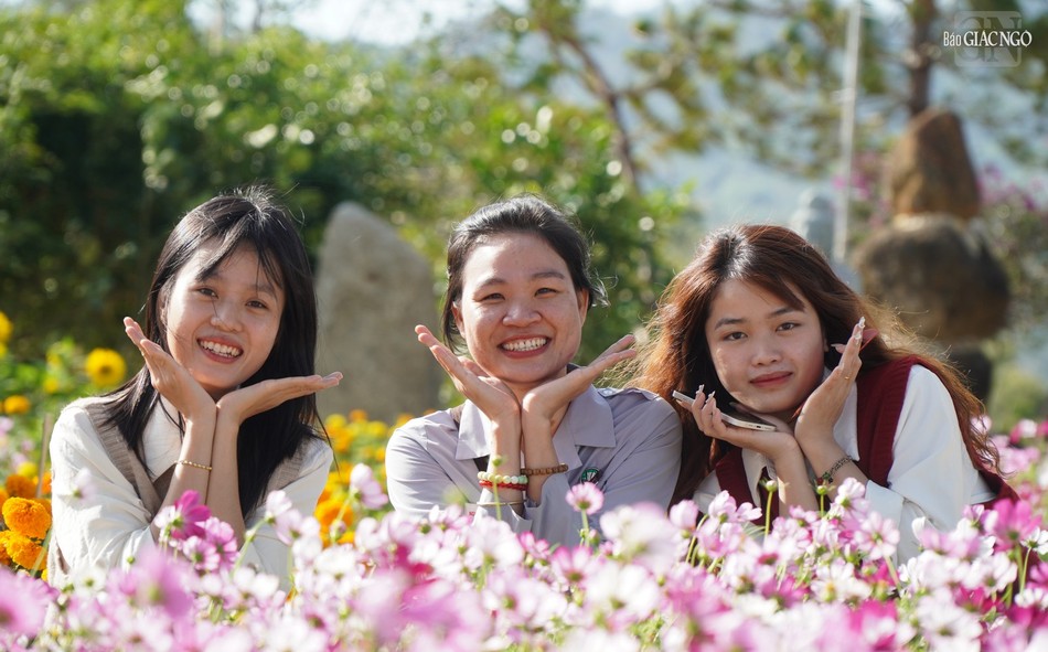 Mùa xuân của tuổi trẻ