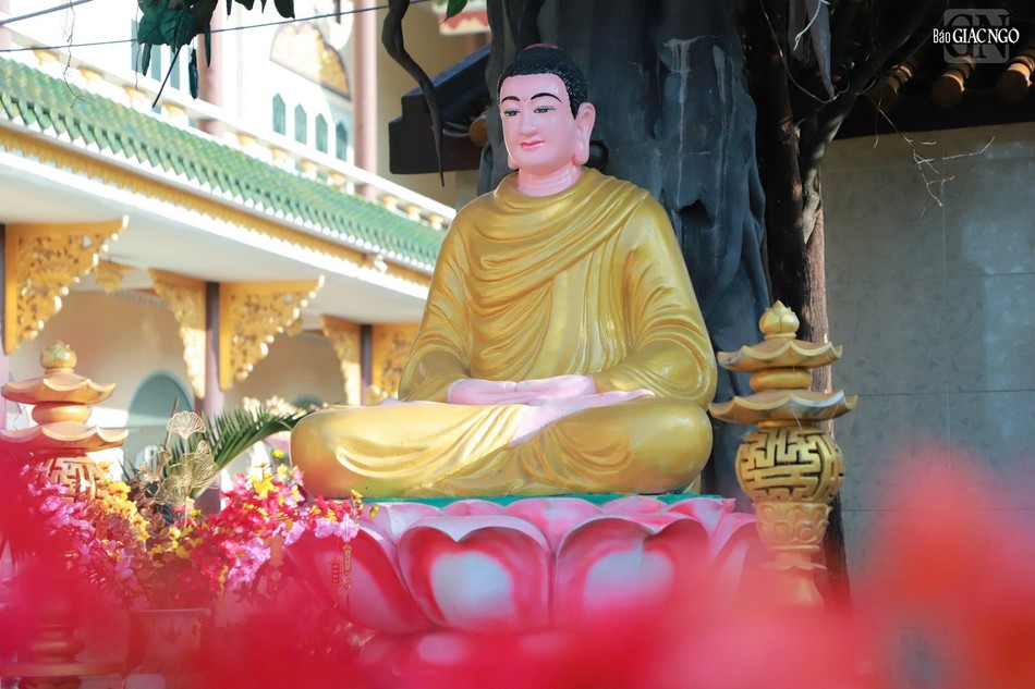 Đến năm 2011, Đại lão Hòa thượng Thích Trí Quảng (viện chủ) và Thượng tọa Thích Minh Đạo vận động đại trùng tu chánh điện với diện mạo như hôm nay