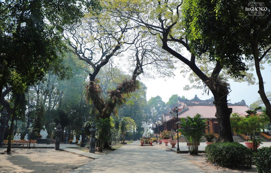 Tổ đình Bửu Thạnh được xếp hạng là Di tích Lịch sử - Văn hóa cấp Thành phố theo Quyết định số 5516/QĐ-UBND ngày 30-11-2006