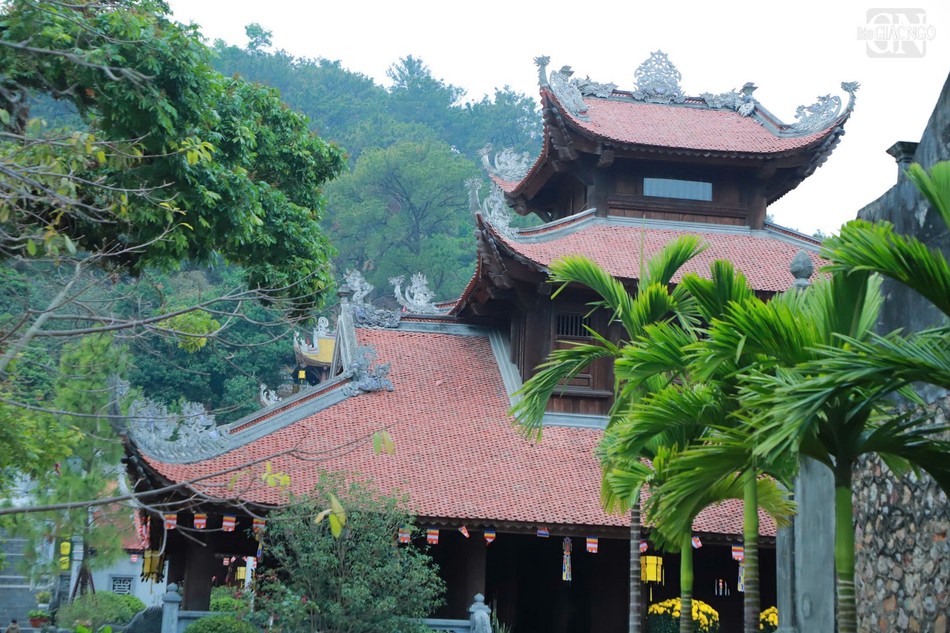 Vào thời Lê Trung Hưng, giai đoạn Thiền sư Mai Trí Bản, hiệu Pháp Nhẫn trụ trì, chùa được trùng tu và mở rộng quy mô đồ sộ