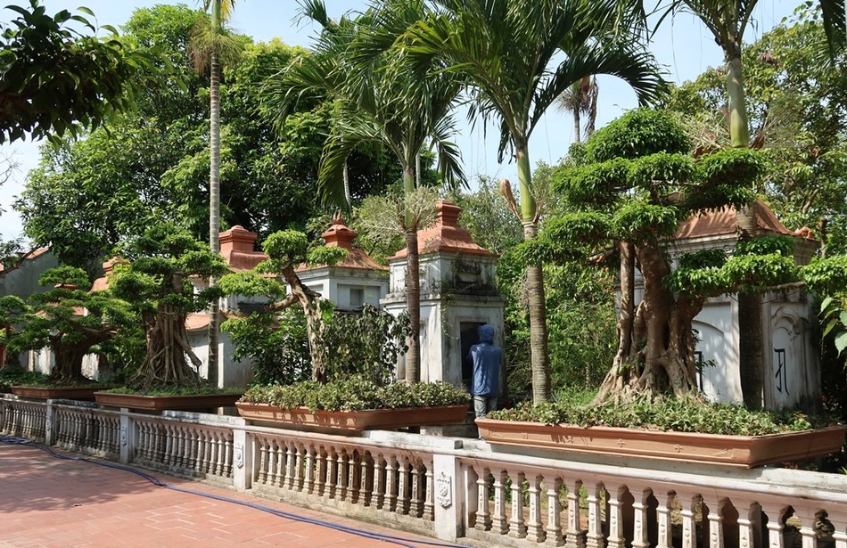 Một góc vườn tháp chùa Thọ Vực Một góc vườn tháp chùa Thọ Vực