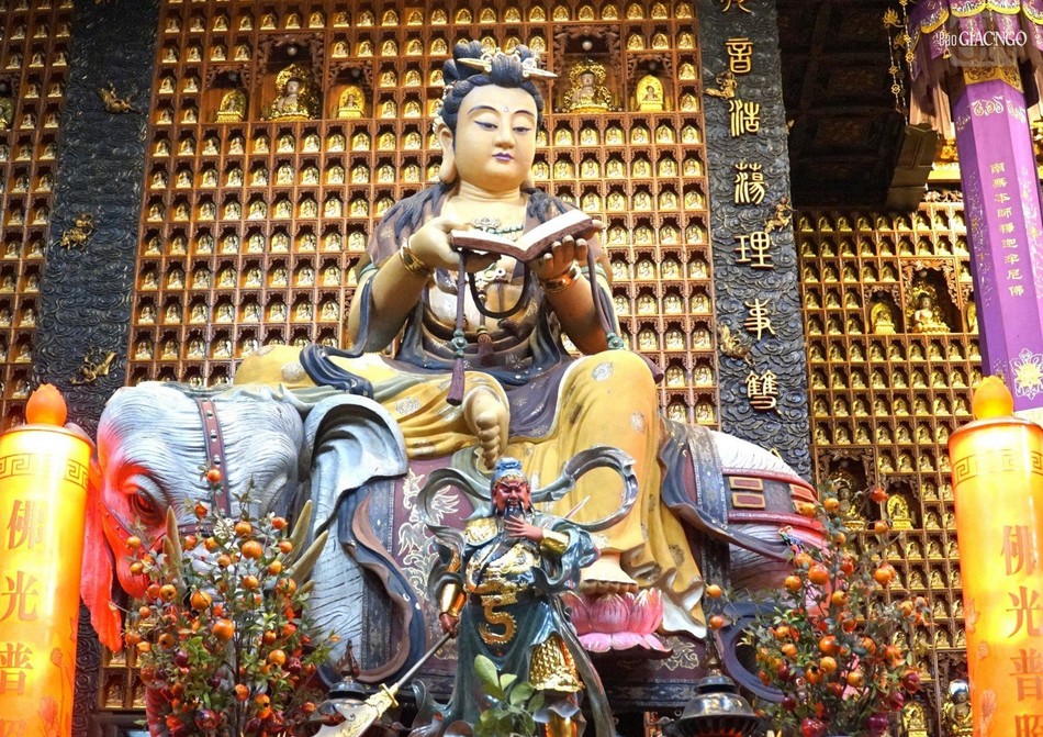 Chùa Vạn Phật do Hòa thượng Thích Diệu Hoa và Hòa thượng Tăng Đức Bổn thành lập vào năm 1959 làm nơi tu học, lễ bái cho Tăng Ni và Phật tử người Hoa ở thành phố và các tỉnh lân cận