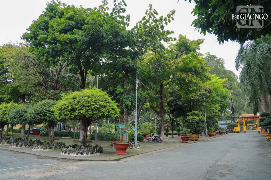 Sau một thời gian, thiền sư Phật Ý giao cho đệ tử là thiền sư Viên Quang, thuộc thiền phái Lâm Tế Gia Phổ đời thứ 36, dòng &quot;Đạo Bổn Nguyên&quot; về trụ trì. Từ năm 1774, khi Thiền sư Viên Quang về trụ trì chùa Cẩm Đệm, đã đổi tên thành chùa Giác Lâm