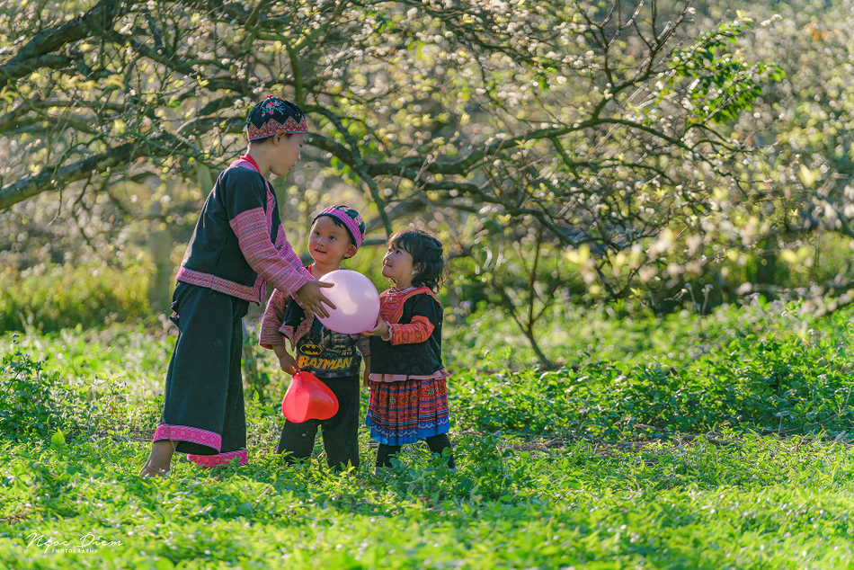 Mộc Châu - Ảnh: Cao Thị Ngọc Diễm