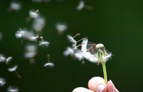 Ảnh minh họa Ảnh minh họa