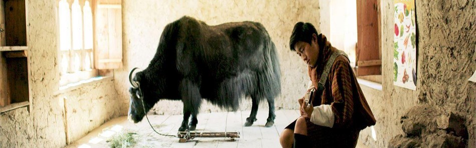 Ugyen và chú bò Norbu