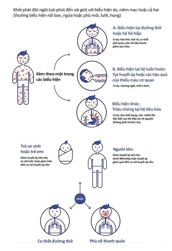 Minh họa phản ứng dị ứng được bác sĩ Tiến dịch từ nguồn WAO