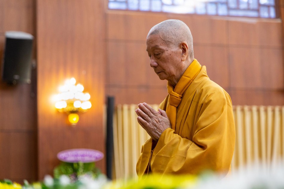 Đại lão Hòa thượng Thích Trí Quảng nói về những việc cần làm trong mùa An cư ảnh 1 Ảnh tác giả