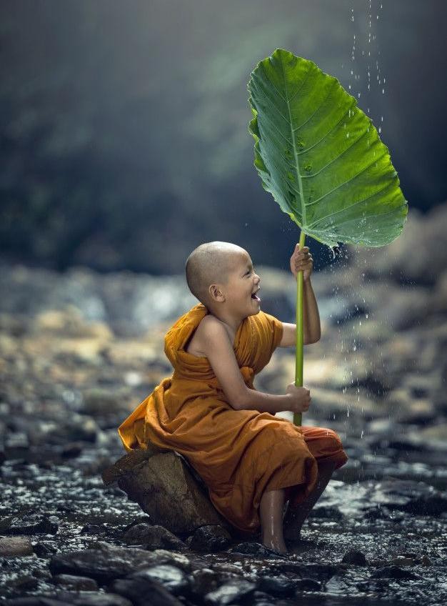 Ảnh minh họa Ảnh minh họa