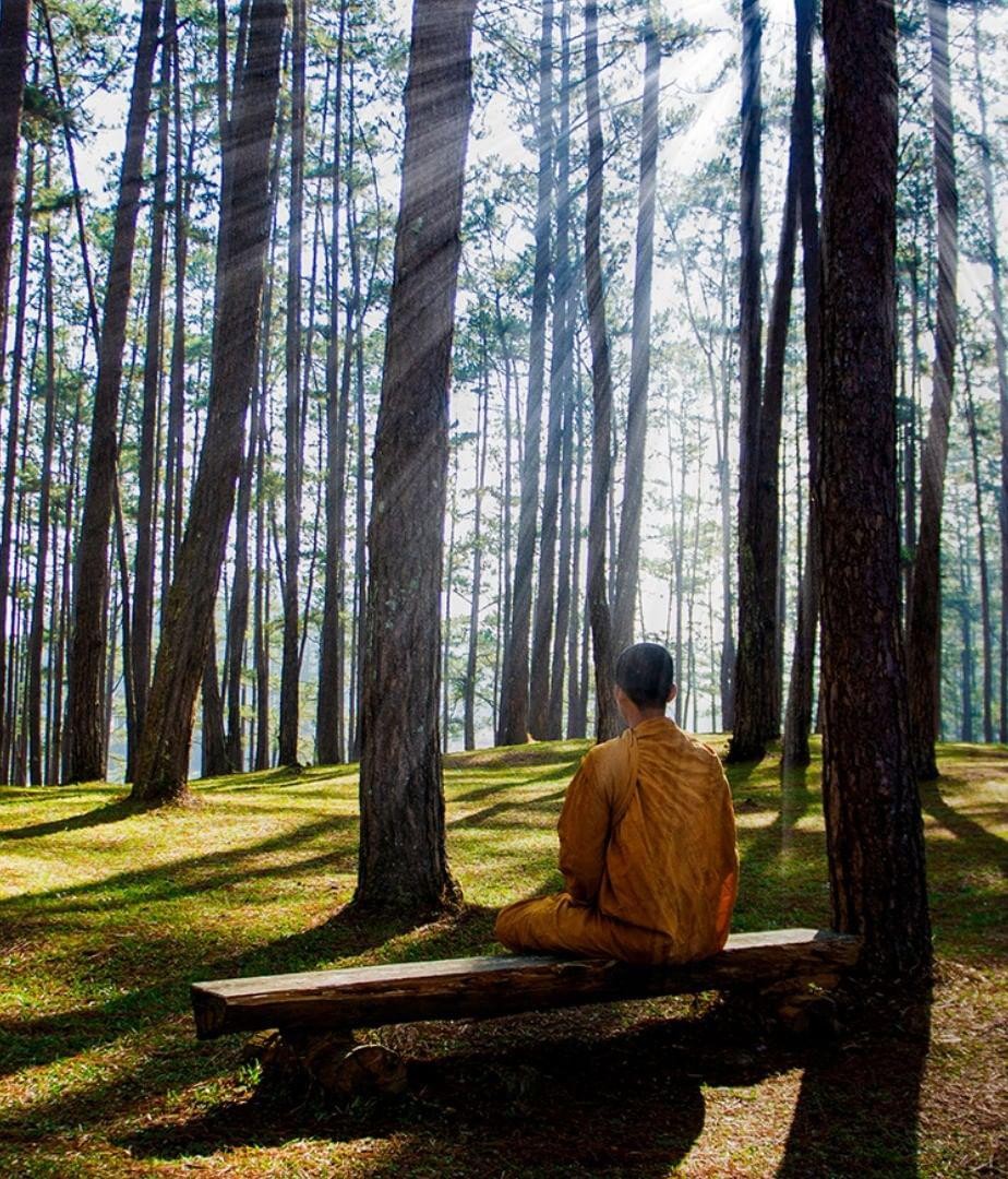 Nhân duyên ươm mầm với Phật giáo Nhân duyên ươm mầm với Phật giáo