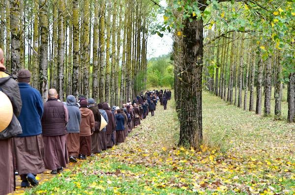 Ngày tiếp nối Ngày tiếp nối