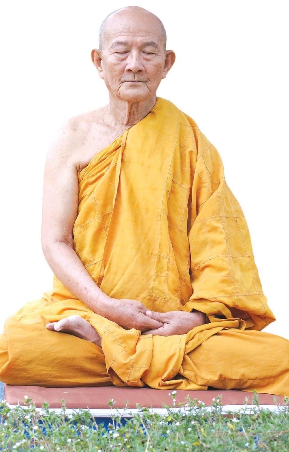 Trưởng lão Hòa thượng Thích Giác Giới - Ảnh: Quảng Đạo Trưởng lão Hòa thượng Thích Giác Giới - Ảnh: Quảng Đạo