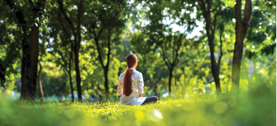 Ảnh minh họa Ảnh minh họa