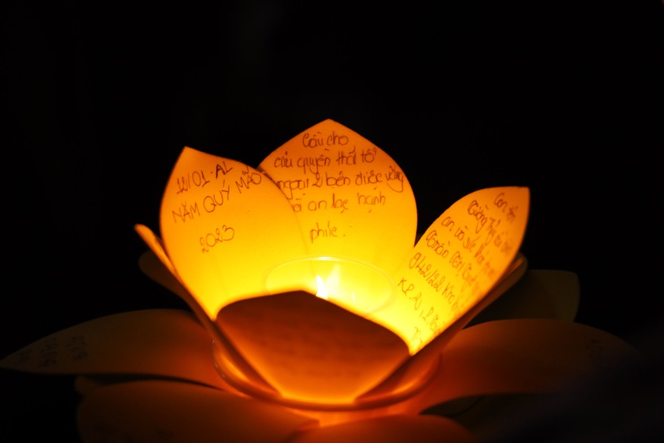 Ước vọng đầu xuân