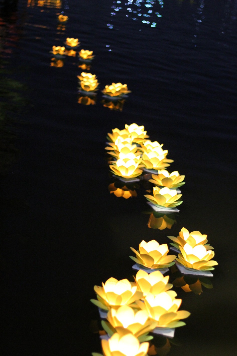 Lung linh ánh sáng nhiệm mầu