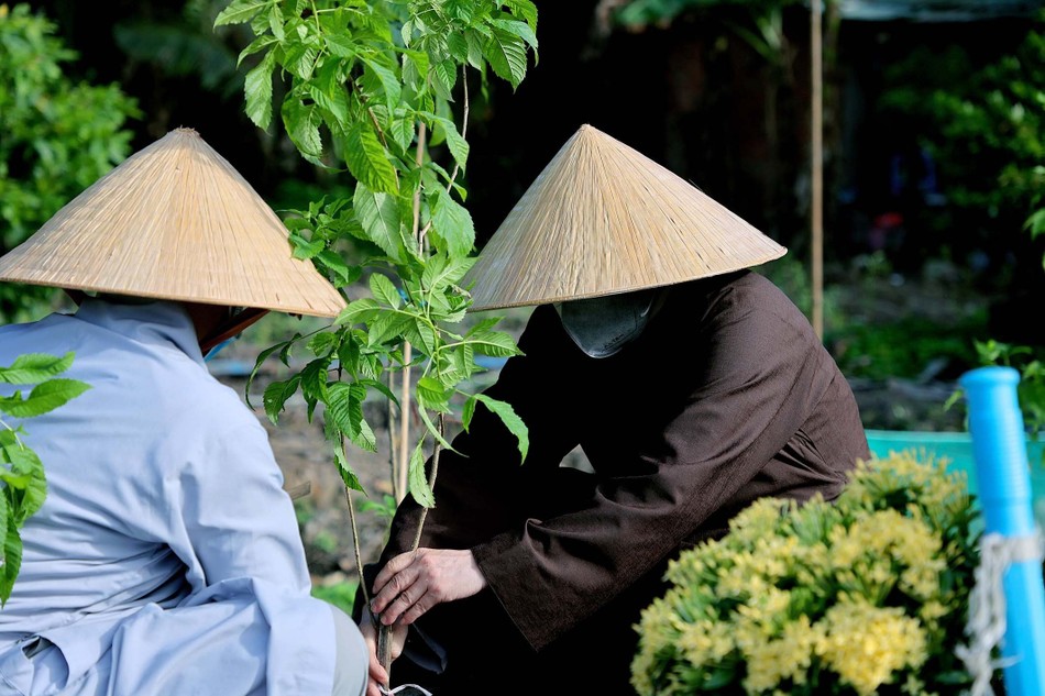 Trồng cây xanh góp phần bảo vệ môi trường Trồng cây xanh góp phần bảo vệ môi trường