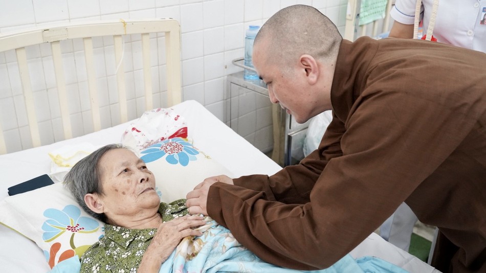 Cài hoa hồng cho các bệnh nhân Cài hoa hồng cho các bệnh nhân