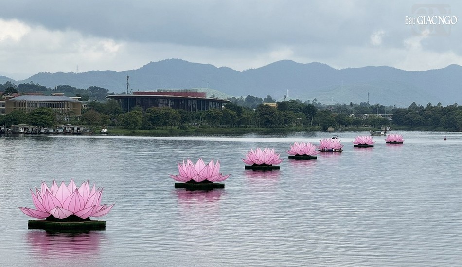 7 đóa sen trên sông Hương báo hiệu mùa Phật đản đã về