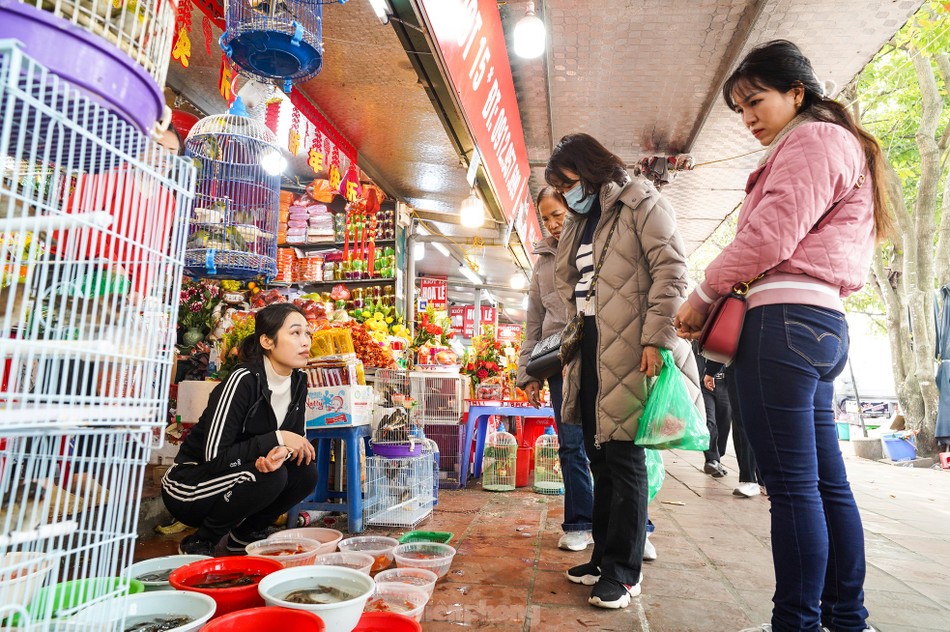 Sau khi làm lễ xong, một số người sẽ thực hiện nghi lễ phóng sinh các loài cá, chim, rùa, ốc xuống Hồ Tây - Ảnh: Đức Nguyễn