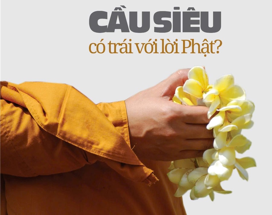 Bài trên Báo Giác Ngộ số 1288 - Thiết kế: Phòng Mỹ thuật BGN/Tống Viết Diễn Bài trên Báo Giác Ngộ số 1288 - Thiết kế: Phòng Mỹ thuật BGN/Tống Viết Diễn