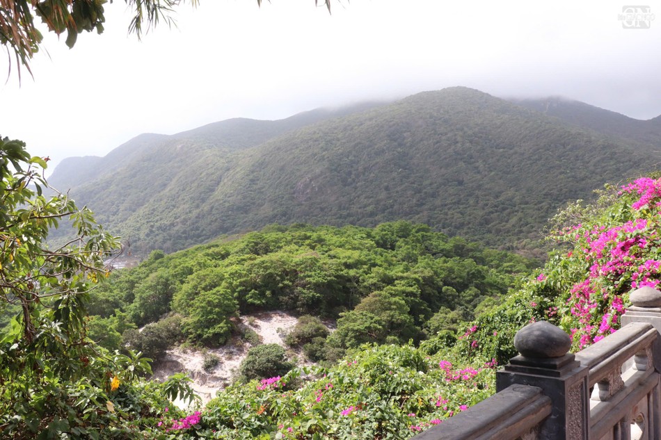 Từ sân chùa, du khách có thể phóng tầm mắt ra xa, chiêm ngưỡng toàn cảnh vịnh Côn Sơn thơ mộng với những hòn đảo nhấp nhô giữa đại dương xanh thẳm