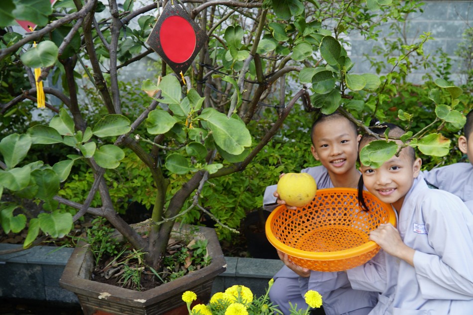 Các chú tiểu có sư phụ lo chu đáo, không có cảm giác thiếu tình thương Các chú tiểu có sư phụ lo chu đáo, không có cảm giác thiếu tình thương