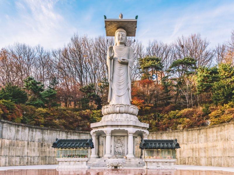 Ảnh: Internet Ảnh: Internet