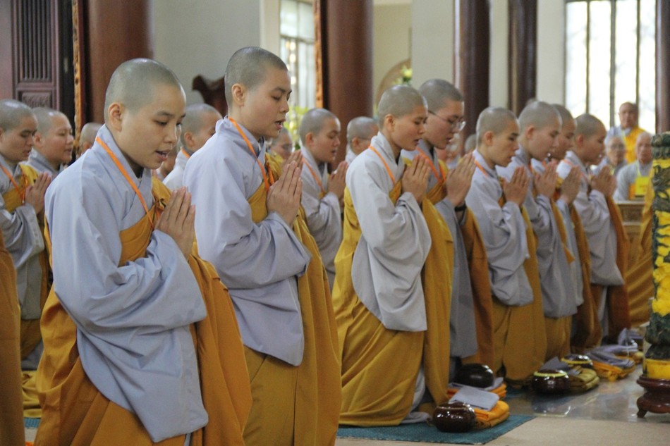 Chư giới tử thọ giới Tỳ-kheo-ni cầu thọ Chánh pháp với đại Tăng