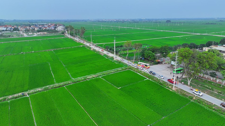 Đoàn xe nối tiếp nhau diễu hành từ trục đường chính đến những con đường quê thanh bình