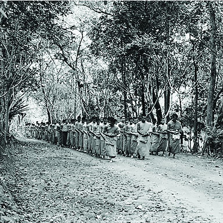 Hình ảnh từ Triển lãm Thiền cho thấy một nhóm lớn các nhà sư đang tu tập đi bộ thiền trong rừng - Hình ảnh do BHP cung cấp