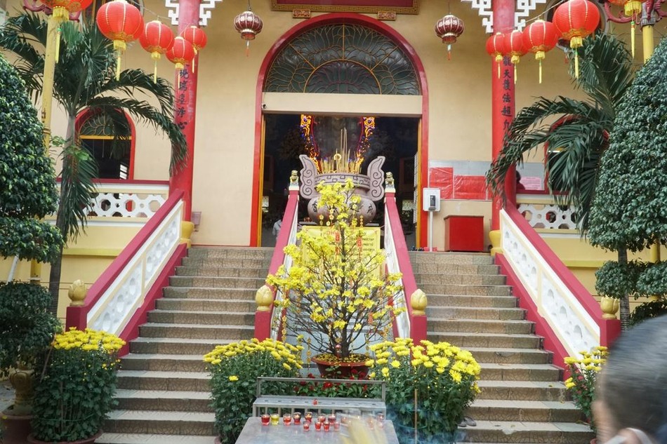 Lối dẫn lên điện Di Đà cũng có đầy sắc xuân với hoa mai vàng làm điểm nhấn