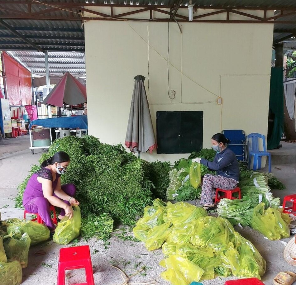 Rau củ quả cũng được chùa gởi tặng đến các khu cách ly trên địa bàn quanh chùa Rau củ quả cũng được chùa gởi tặng đến các khu cách ly trên địa bàn quanh chùa