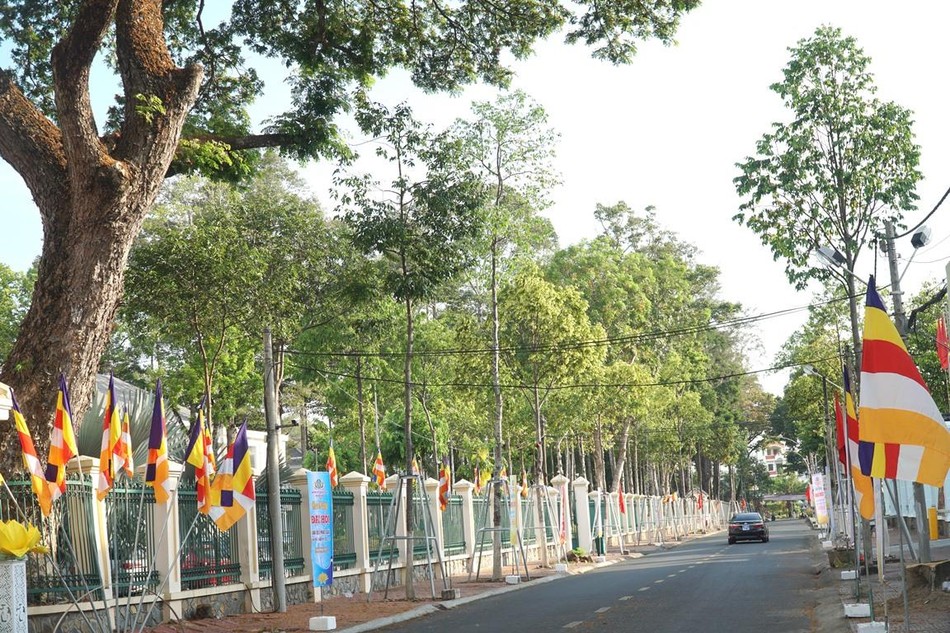 Cờ Phật giáo, cờ Tổ quốc và pano được trang trí dọc tuyến đường dẫn vào hội trường Cờ Phật giáo, cờ Tổ quốc và pano được trang trí dọc tuyến đường dẫn vào hội trường