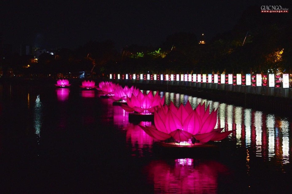 Ánh sáng len lõi từng cánh sen - niềm vui Phật đản sanh