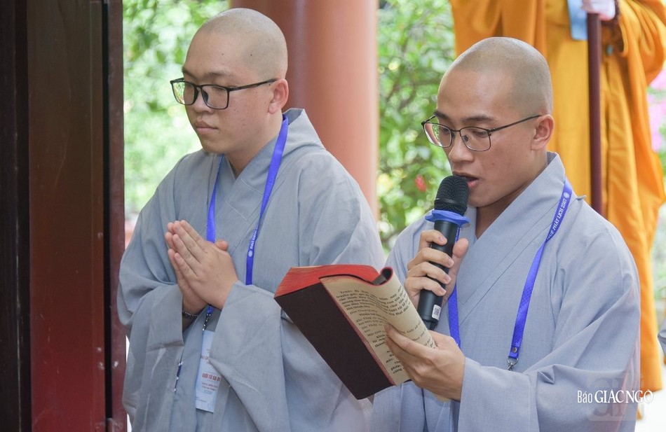 Các giới tử tác bạch cầu giới