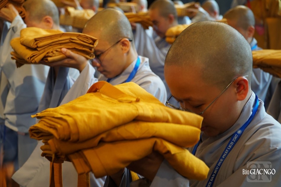 Trao 3 y cho các giới tử