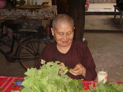 Phật Tích Linh Ứng tự còn là nơi cưu mang người già, neo đơn Phật Tích Linh Ứng tự còn là nơi cưu mang người già, neo đơn