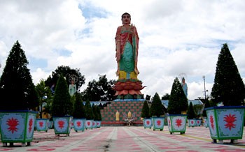 Lấy đức dung hòa cuộc sống ảnh 1