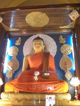 bddtr0902.jpg