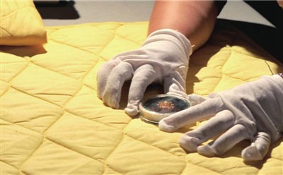 Trung Quốc: Cung nghinh Xá lợi thân đức Phật trở về lại chùa Yunju ảnh 3 xaloi 3.jpg