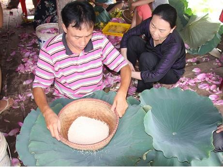 Sàng “gạo sen” để lọc bỏ những phần tạp chất trong quá trình bóc sen Sàng “gạo sen” để lọc bỏ những phần tạp chất trong quá trình bóc sen