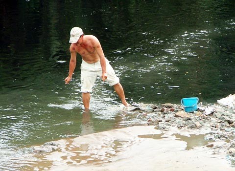 Đổ xô đi bắt cá phóng sinh ảnh 2 Đổ xô đi bắt cá phóng sinh ảnh 2