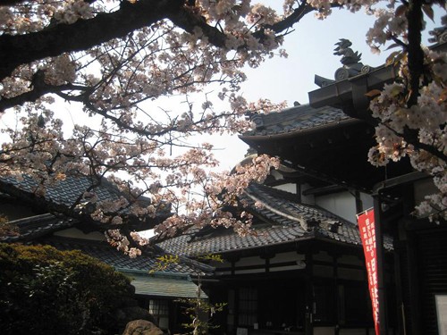 Núi Phú Sỹ vào mùa hoa anh đào. Hoa anh đào soi bóng bên hoàng cung Nhật Bản. Cố đô Nara dưới bóng hoa anh đào. Cảnh ở Heijo. Những ngôi nhà cổ ở Kyoto. Những hàng hoa anh đào ở Osaka. Tại lâu đài hạc trắng. Hoa anh đào có ba màu đỏ, hồng, trắng.