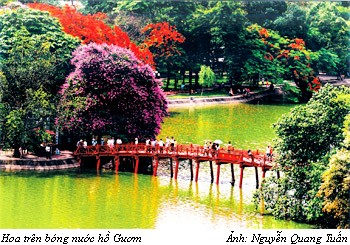 Bóng nước Thăng Long - đầm hồ Hà Nội ảnh 1 Bóng nước Thăng Long - đầm hồ Hà Nội ảnh 1