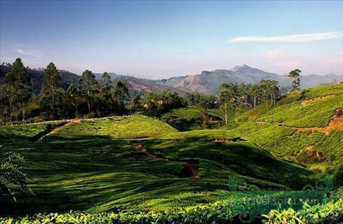 Yên bình vùng quê Ấn Độ ảnh 13 Yên bình vùng quê Ấn Độ ảnh 13